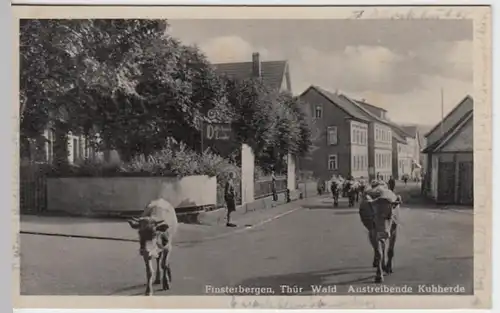 (8970) AK Finsterbergen, Kuhherde 1953
