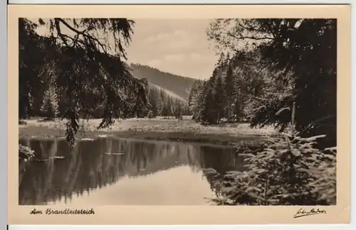 (8932) Foto AK Finsterbergen, Brandleiteteich 1956