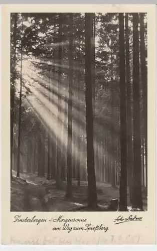 (8869) Foto AK Finsterbergen, Weg zum Spießberg 1955
