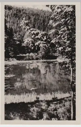 (8866) AK Finsterbergen, Brandleiteteich 1954