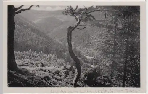 (8858) AK Friedrichroda, Lauchagrund, Blick v. Fuchsstein 1953