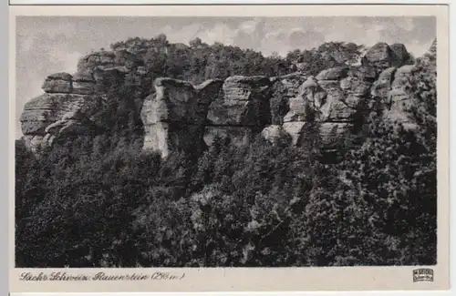 (8811) AK Rauenstein, Sächs. Schweiz, vor 1945