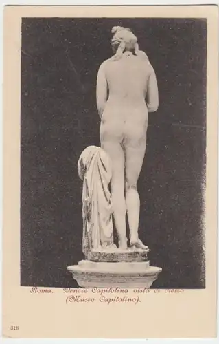 (13153) AK Rom, Kapitolinische Venus, Rückansicht, bis 1905