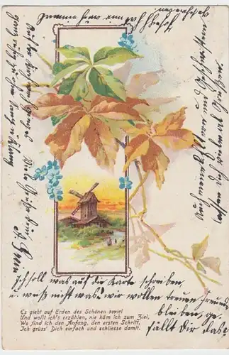 (13143) AK Sprüche, Es gibt auf Erden des Schönen so viel 1904