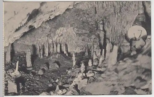 (13136) AK Rübeland, Hermannshöhle, Wald, vor 1945
