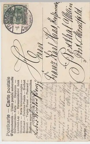 (13121) AK Junge Frau mit Blütenzweig 1906