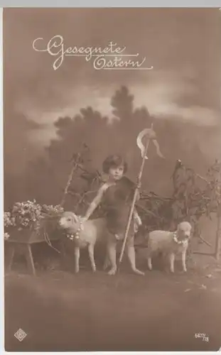 (13109) Foto AK Ostern, Junge mit Lämmern, vor 1945