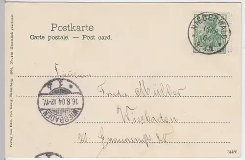 (13084) AK Rüdesheim am Rhein, Mondscheinkarte 1904