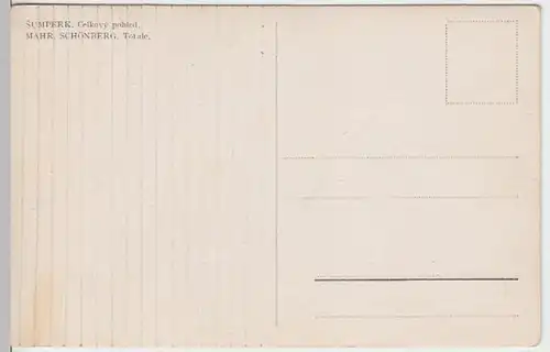 (13056) AK Mähr. Schönberg, Sumperk, Panorama, vor 1945