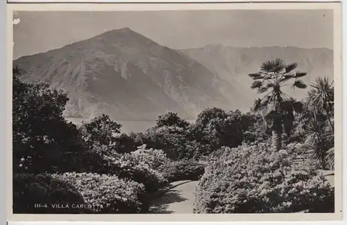 (13017) Foto AK Tremezzo, Comer See, Villa Carlotta, Garten 1930