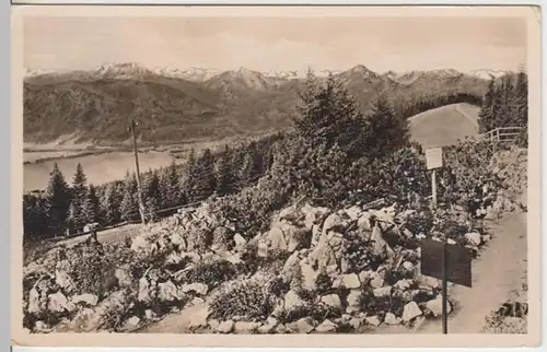(13016) Foto AK Tegernsee, Blick von der Neureuth, Alpengarten 1940