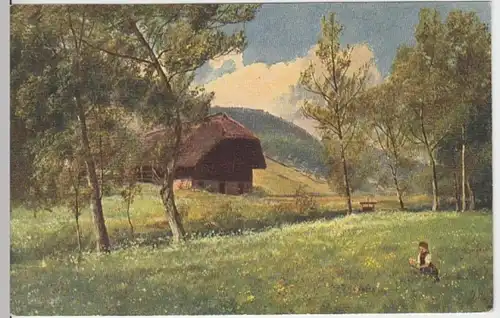 (12990) Künstler AK H. Hoffmann, Blüh. Wiese im Schwarzwald 1922