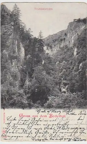 (12794) AK Gruß aus dem Bodetal, Harz, Teufelsbrücke 1905