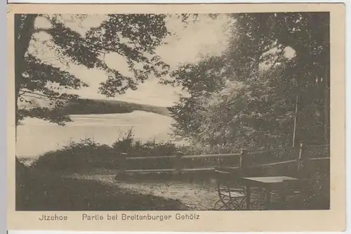 (12773) AK Itzehoe, Breitenburger Gehölz 1925