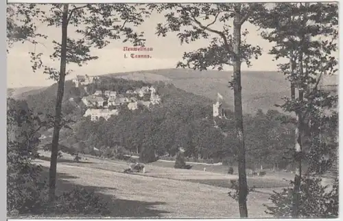 (12727) AK Neuweilnau, Panorama 1908