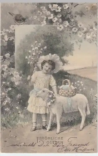 (12556) AK Ostern, Mädchen mit Lamm u. Eierkorb 1909