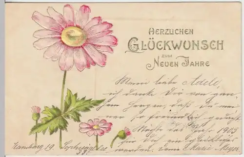 (12426) AK Neujahr, Prägekarte, Margeriten 1903