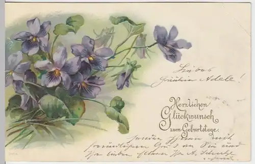 (12421) AK Geburtstag, Veilchen, Prägekarte 1903