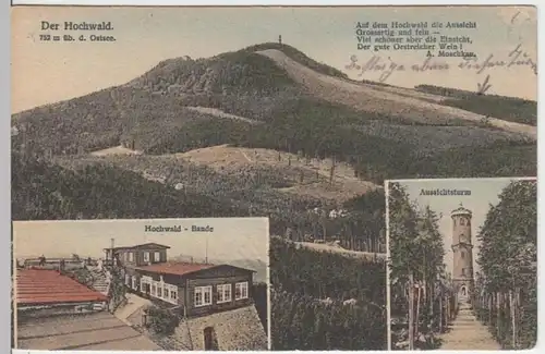 (12394) AK Hochwald, Zittauer Gebirge, Baude, Aussichtsturm 1914