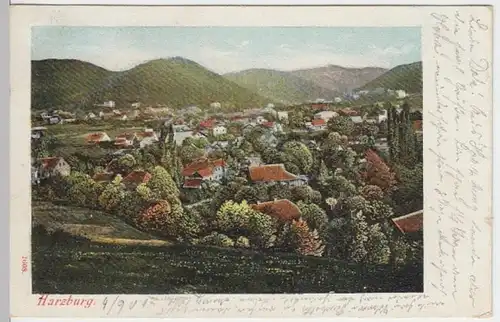 (12355) AK Bad Harzburg, Panorama 1901