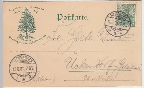(12344) AK Bad Harzburg, Blick vom Schützenhause 1901