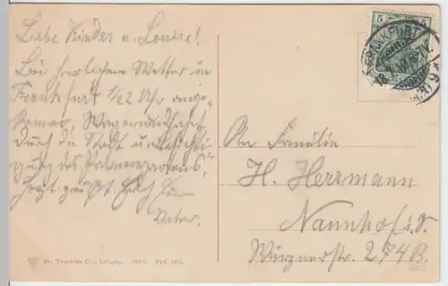 (12124) AK Frankfurt am Main, Palmengarten, Mehrbildkarte 1910