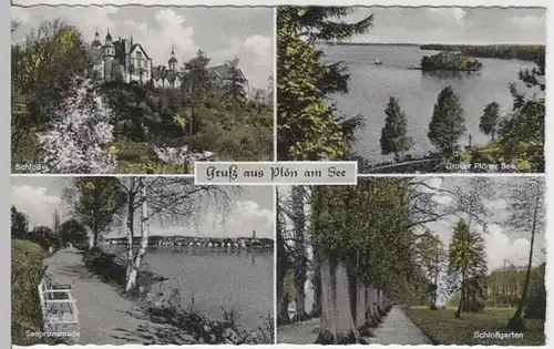 (12073) AK Plön, Gr. Plöner See, Mehrbildkarte