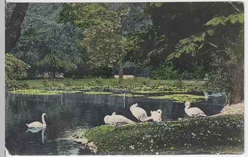 (12015) AK Chemnitz, Schlossteich, vor 1945