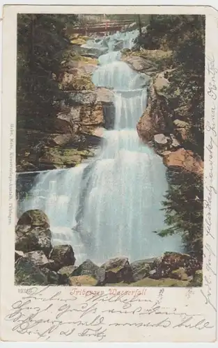 (11889) AK Triberg im Schwarzwald, Triberger Wasserfälle 1901