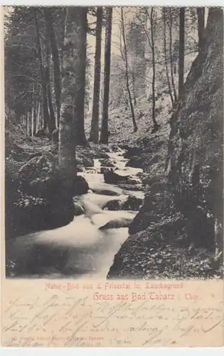 (11871) AK Gruß aus Tabarz, Th. Wald, Lauchagrund 1905