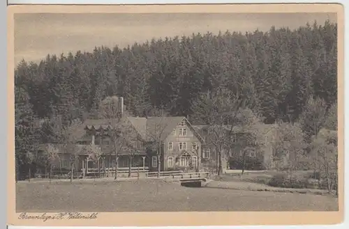 (11866) AK Braunlage, Waldmühle, vor 1945