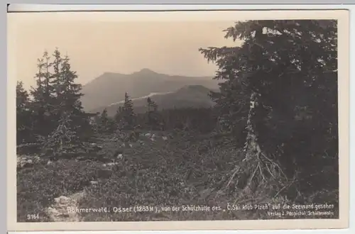 (11778) Foto AK Großer Osser, Bömerwald, Seewand 1928