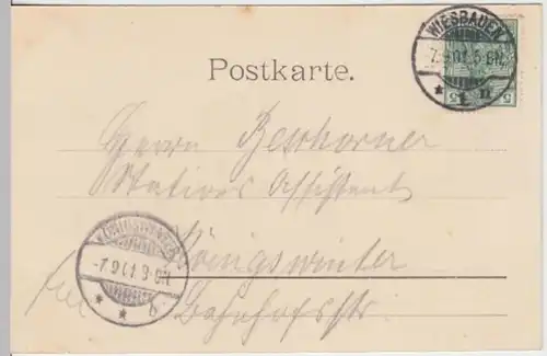 (11740) AK Gruß aus Wiesbaden, Kurgarten 1901