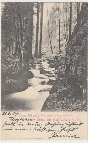 (11653) AK Gruß aus Tabarz, Th.Wald, Lauchagrund 1904