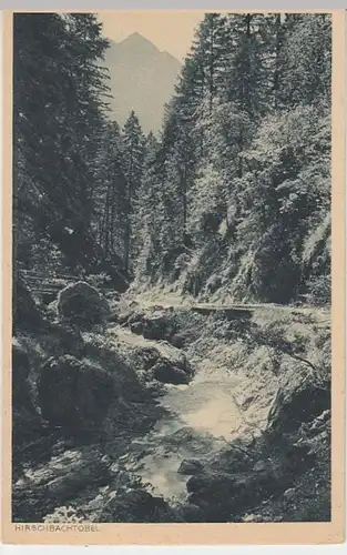 (11630) AK Allgäu, Hirschbachtobel mit Rotspitze 1943