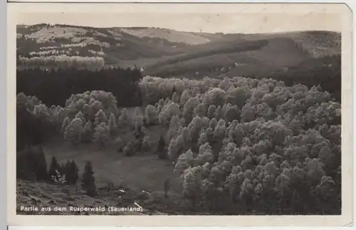 (11338) AK Rüsperwald (Sauerland) Partie 1940er