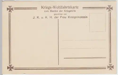 (11286) AK Söhne d. Kronprinzenpaares in Feldgrau, Kriegshilfe 1910er