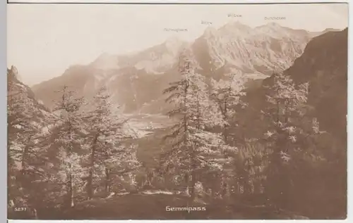 (11085) AK Gemmipass 1920er