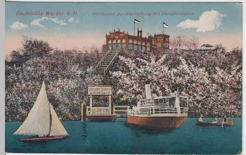 (11070) AK Baumblüte Werder a.H., Restaurant Wachtelburg 1921