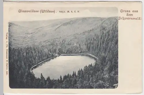 (11069) AK Glaswaldsee im Schwarzwald um 1900