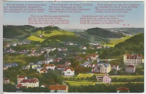 (10876) AK Bad Kissingen, Panorama 1910/20er