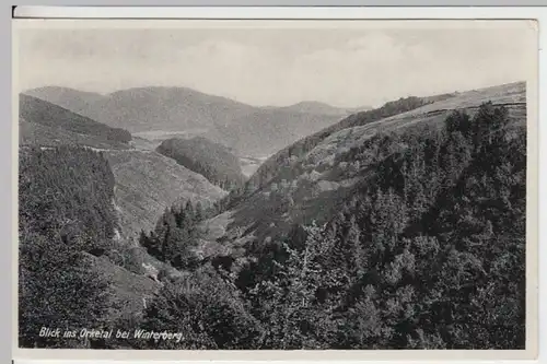 (10813) AK Orketal bei Winterberg 1932