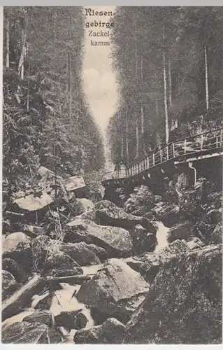 (10654) AK Zackelklamm im Riesengebirge 1909