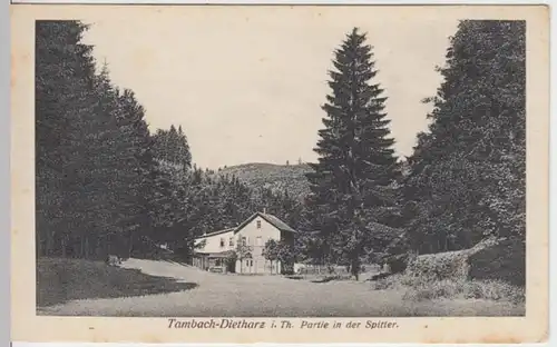 (10553) AK Tambach-Dietharz, Partie an der Spitter 1910er