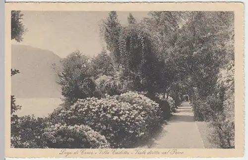 (10463) AK Lago di Como, Viklla Carlotta, Viale diritto nel Parco