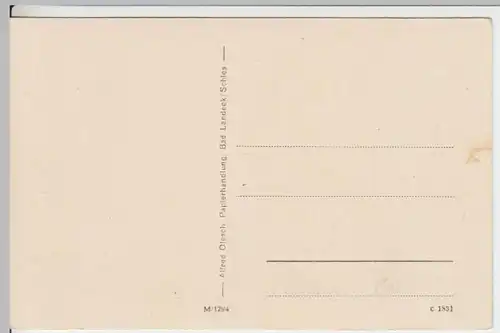 (11621) AK Bad Landeck, Ladek-Zdroj, Panorama, Schneeberg, vor 1945