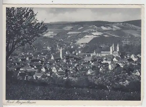 (11487) AK Bad Mergentheim, Panorama, vor 1945