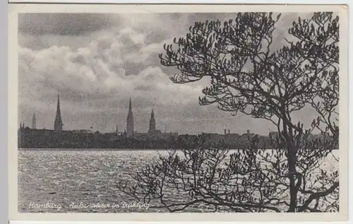 (11432) AK Hamburg, Außenalster, vor 1945