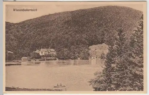 (10031) AK Wiesenbekerteich bei Bad Lauterberg 1910/20er