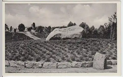 (9771) AK Walsrode, Herm. Löns Grab, Tietlinger Wacholderhain, ab 1935